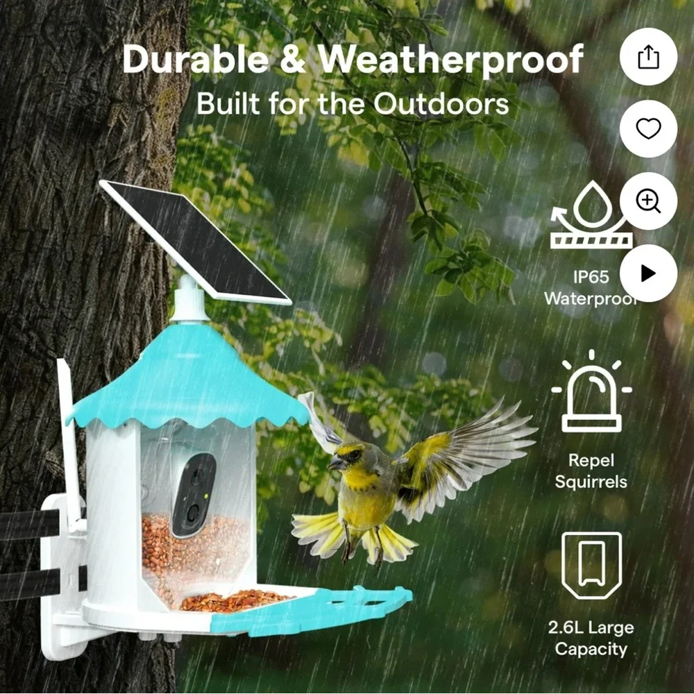 Solar-Powered Bird Feeder with Camera - Orange